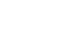 The Great Bustard